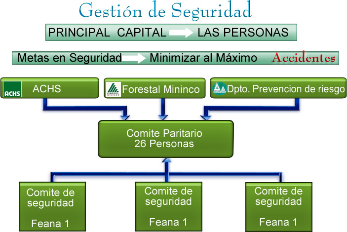 Organigrama Gestión Seguridad : sibafor.cl